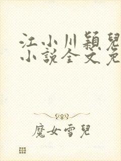 江小川颖儿穿越小说全文免费阅读
