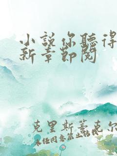 小说你听得见最新章节阅