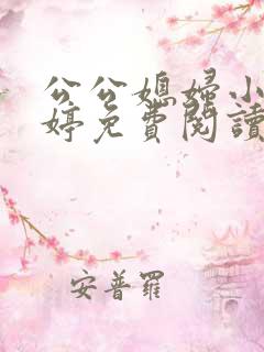 公公媳妇小说婉婷免费阅读全文最新章节