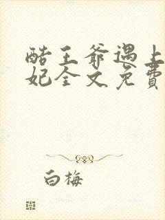 酷王爷遇上穿越妃全文免费阅读