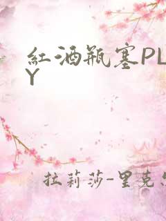 红酒瓶塞PLAY
