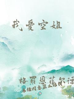 我爱空姐
