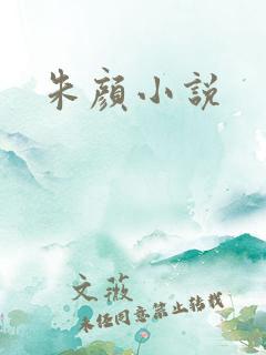 朱颜小说
