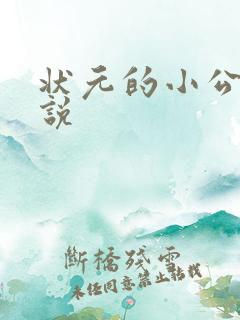 状元的小公主小说