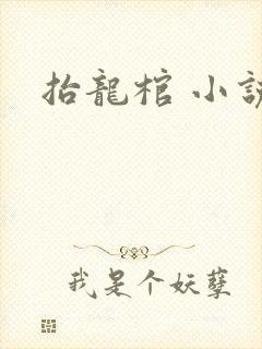 抬龙棺 小说