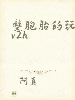 双胞胎的玩具1v2h