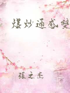 爆炒通感双胞胎