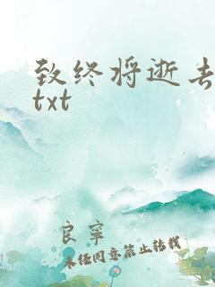 致终将逝去青春txt