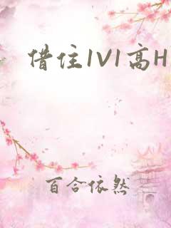 借住1V1高H