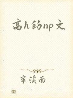 高h的np文