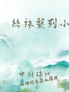 丝袜系列小说