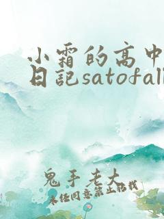 小霜的高中成长日记satofall