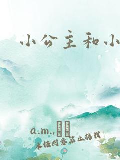 小公主和小王子