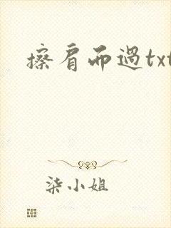 擦肩而过txt