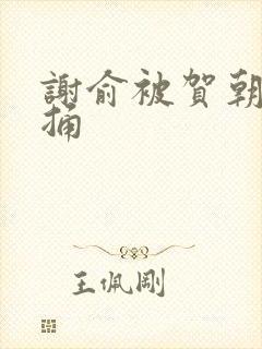 谢俞被贺朝站着捅