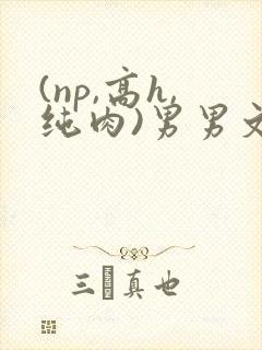 (np,高h,纯肉)男男文