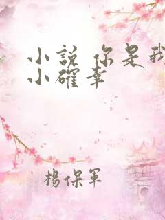 小说 你是我的小确幸