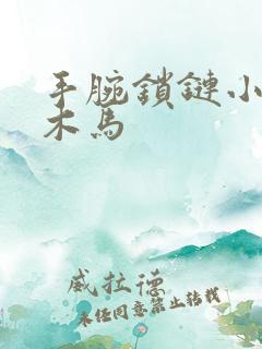 手腕锁链小黑屋木马