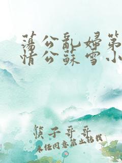 荡公乱妇第1章情公苏雪小说