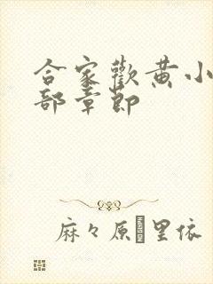 合家欢黄小梅全部章节