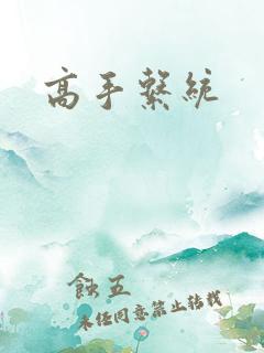 高手系统