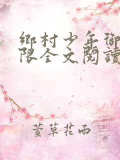 乡村少年御女无限全文阅读