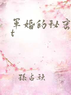 军婚的秘密txt