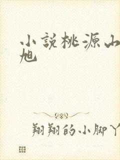 小说桃源山村王旭