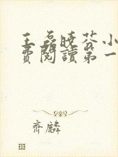 王磊晓芬小说免费阅读第一章