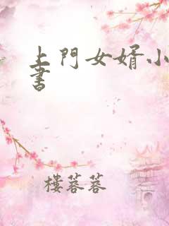 上门女婿小说听书