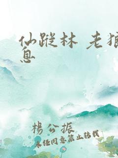 仙踪林 老狼信息