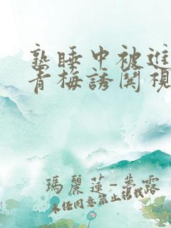 熟睡中被进了H青梅诱哄视频