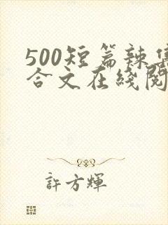 500短篇辣集合文在线阅读