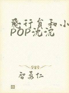 飞行员和小空乘POP沈沉