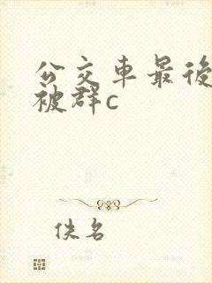 公交车最后一排被群c