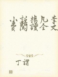 小说杨凡李灿免费阅读全文