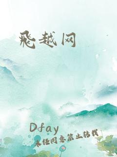 飞越网