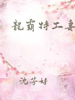 龙霸特工妻