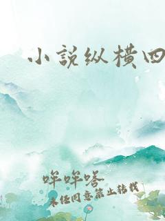 小说纵横四海
