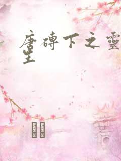唐砖下之灵域双生