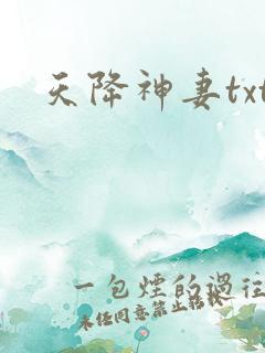 天降神妻txt