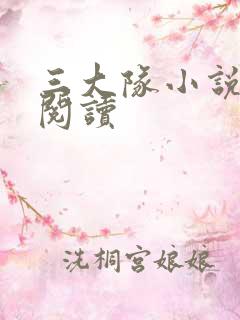 三大队小说在线阅读