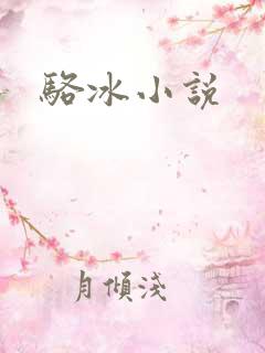 骆冰小说