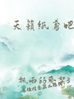 天籁纸鸢吧