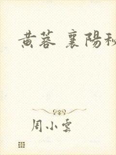 黄蓉 襄阳秘史
