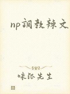 np调教辣文