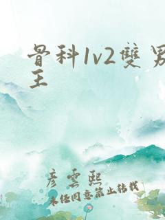 骨科1v2双男主