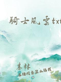 骑士风云txt