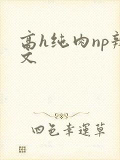 高h纯肉np辣文