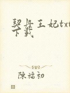 契丹王妃txt下载
